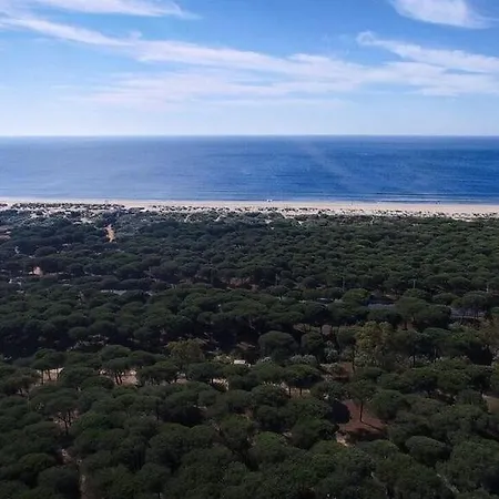 Giralda Kemp Huelva